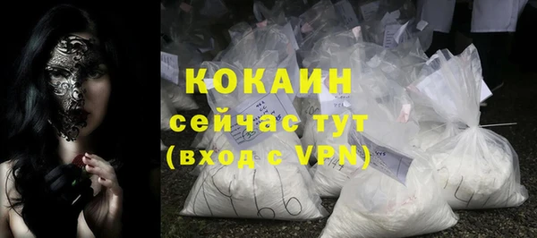 МДПВ Пересвет