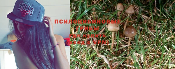 mdpv Алзамай
