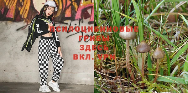 mdpv Алзамай