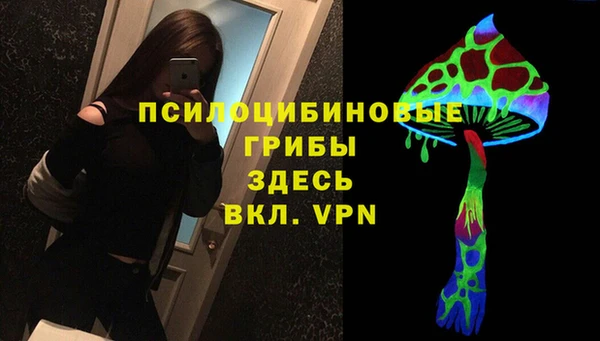 скорость Алексин