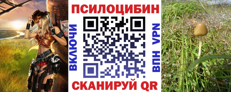 закладка  Калининск  Псилоцибиновые грибы ЛСД 